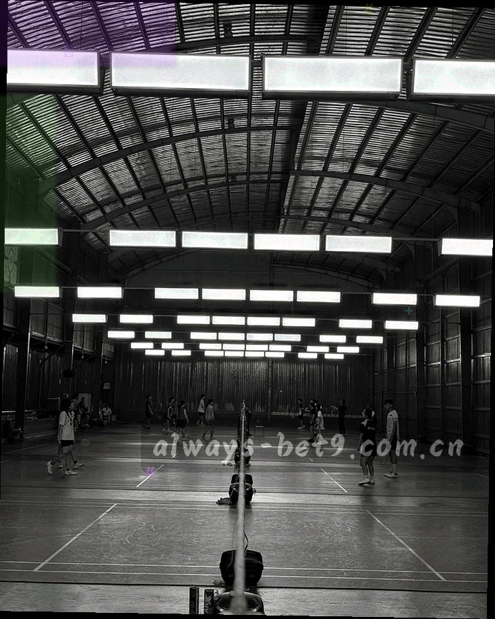 竖版手册式版式示意图，封面为墨蓝底配金色细线框，内页列出原则、边界、应用与问答四栏
